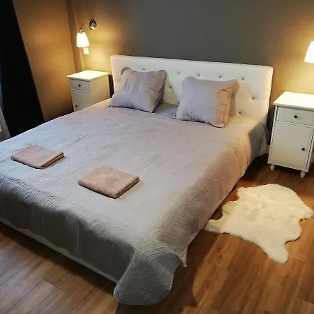 Renovated By An Interior Architect In The Center Next To The Train Station Apartment Reims
