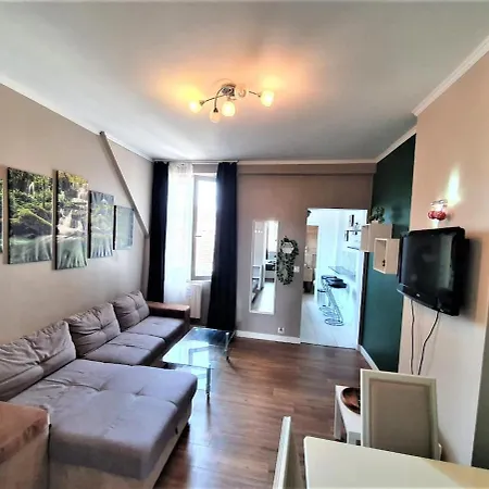 Apartment Renovated By An Interior Architect In The Center Next To The Train Station Reims